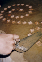 2_Aktuelles.jpg (45298 Byte)